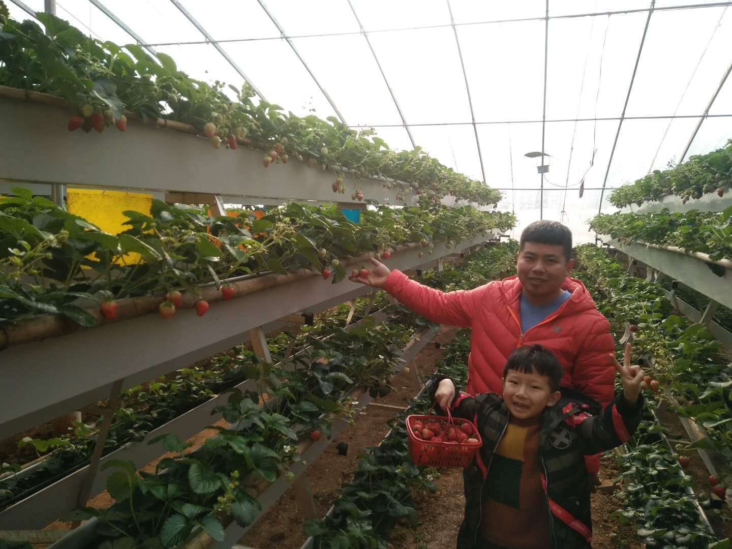 91视频网址入口种植槽