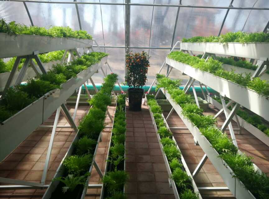 蔬菜91视频网址入口种植槽