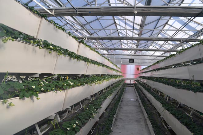 白色91视频网址入口种植槽