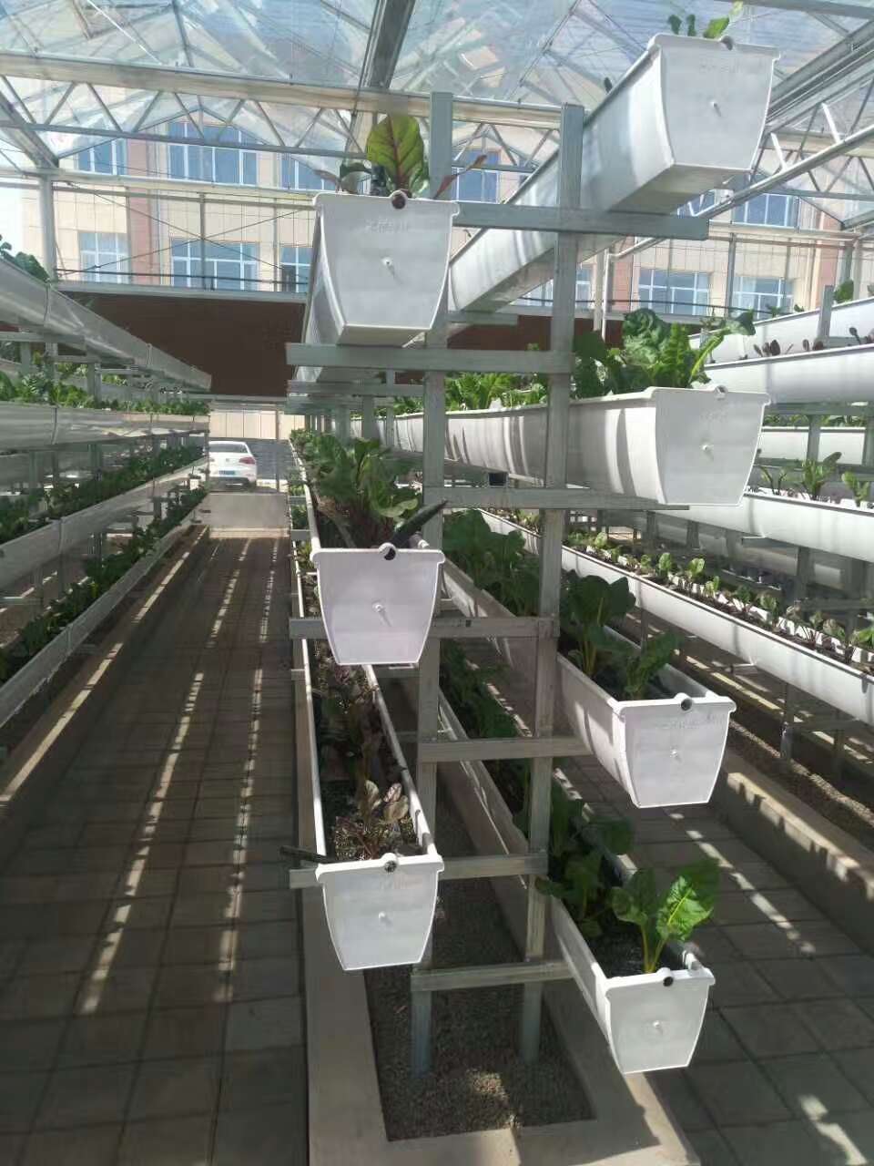 蔬菜91视频网址入口种植槽